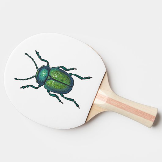 Raquette De Ping Pong The tansy beetle (Côté)