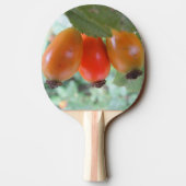 Raquette De Ping Pong Three orange rosehips (Dos)