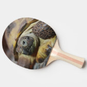 Raquette De Ping Pong Tibbs (Côté)