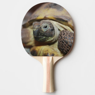 Raquette De Ping Pong Tibbs