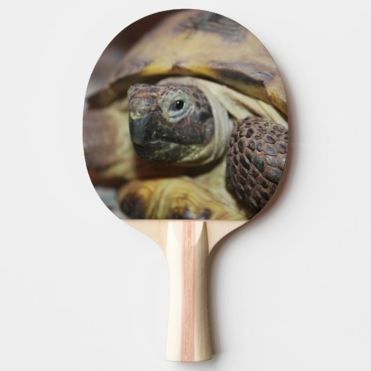 Raquette De Ping Pong Tibbs (Devant)