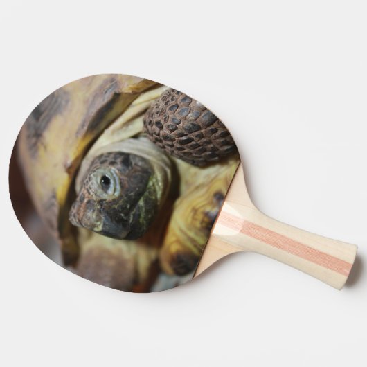 Raquette De Ping Pong Tibbs (Côté)