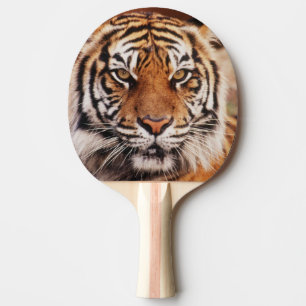 Raquette De Ping Pong Tigre de Sumatra