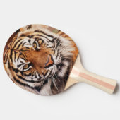Raquette De Ping Pong Tigre de Sumatra (Côté)