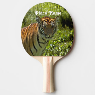 Raquette De Ping Pong Tigre sud-coréen