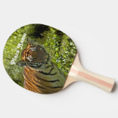 Raquette De Ping Pong Tigre sud-coréen (Côté)