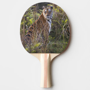 Raquette De Ping Pong Tigresse du Bengale dans les hautes herbes, essaya