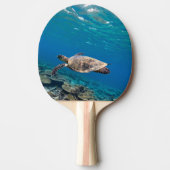 Raquette De Ping Pong Tortue de mer (Devant)