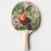 Raquette De Ping Pong Toucan Jungle Tropical Bird Belle antique (Dos)