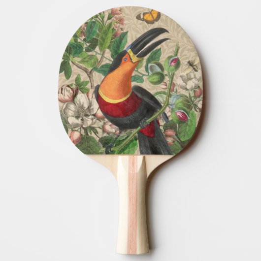 Raquette De Ping Pong Toucan Jungle Tropical Bird Belle antique (Dos)