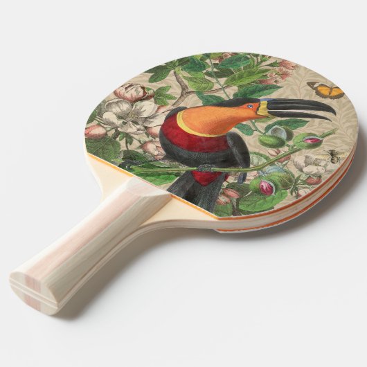 Raquette De Ping Pong Toucan Jungle Tropical Bird Belle antique (Devant Angle)