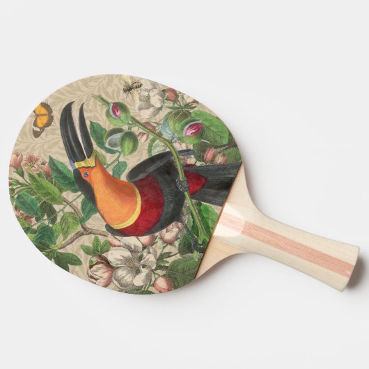 Raquette De Ping Pong Toucan Jungle Tropical Bird Belle antique (Côté)