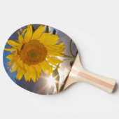 Raquette De Ping Pong Tournesol hybride soufflant au vent au crépuscule (Côté)