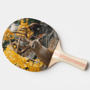 Raquette De Ping Pong Trophée Deer