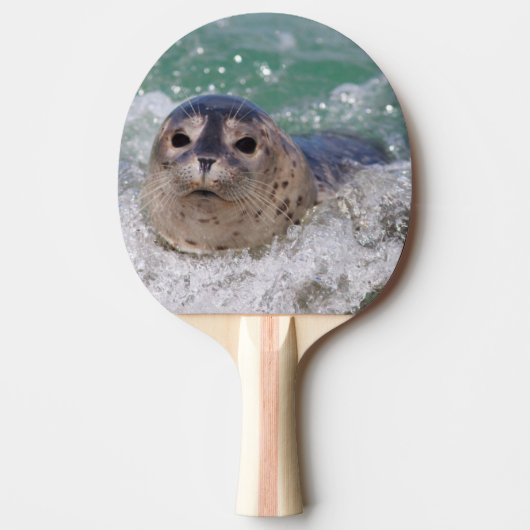 Raquette De Ping Pong Un bébé phoque surfant (Devant)