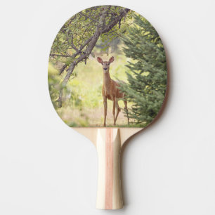 Raquette De Ping Pong Un cerf solitaire