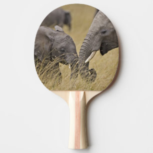 Raquette De Ping Pong Un éléphant d'Afrique paissant dans les champs
