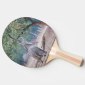 Raquette De Ping Pong Un éléphant pour l'acia (Côté)