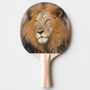 Raquette De Ping Pong Un portrait d'un Lion regardant au loin