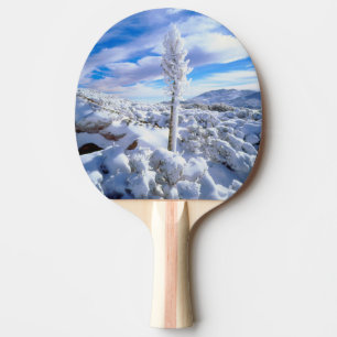 Raquette De Ping Pong Un yucca enneigé