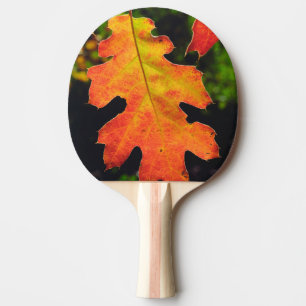 Raquette De Ping Pong Une feuille de chêne dans la forêt nationale de Si