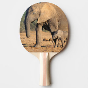 Raquette De Ping Pong Une mère éléphant d'Afrique et son petit en mouvem
