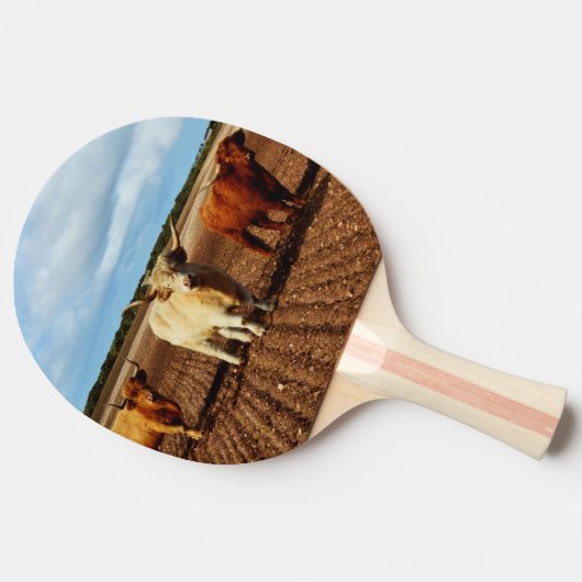 Raquette De Ping Pong Vaches vilaines des Highlands, (Côté)