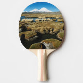 Raquette De Ping Pong Volcan de Payachalas (Devant)
