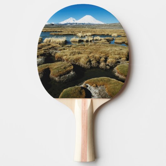 Raquette De Ping Pong Volcans Payachalas (Devant)