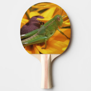 Raquette De Ping Pong Vous regardez ici - Grasshopper