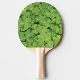 Raquette De Ping Pong Vue d'Oxalis Oregana feuillage d'oseille des bois