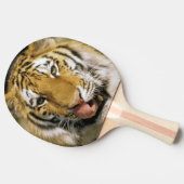 Raquette De Ping Pong Zoo de Tiger Michigan (Côté)