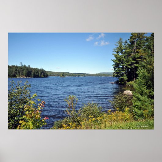 Raquette Lank in Adirondack print 08 229 (Voorkant)
