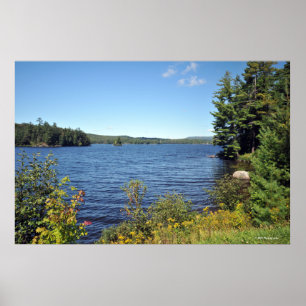 Raquette Lank in de Adirondack-druk 08 229 Poster