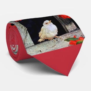 RARE albino robin Stropdas