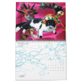 RARE KATTEN 2013 KALENDER (Feb 2027)