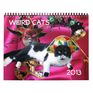 RARE KATTEN 2013 KALENDER