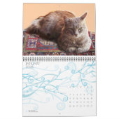 RARE KATTEN 2013 KALENDER (Jan 2026)