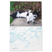 RARE KATTEN 2013 KALENDER (Mar 2026)