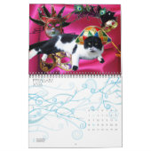 RARE KATTEN 2013 KALENDER (Feb 2026)