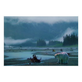 Rare Kermode Beer (Spirit Beer) en Misty River Perfect Poster