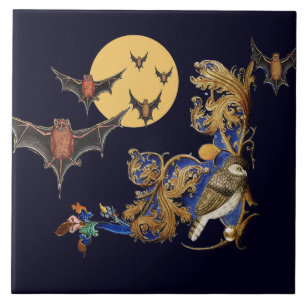 RARE MIDDELEEUWSE BESTIARY, VOGEL, VLEERMUIZEN IN TEGELTJE