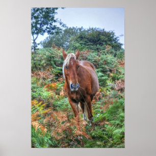 Rare Palomino New Forest Pony & Bracken - Engeland Poster