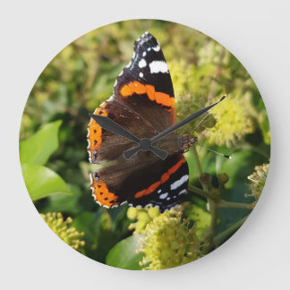 Rare Red Admiral Butterfly in the Sun on Flowers Grote Klok