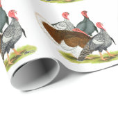 Rare Turkey Kwartet Cadeaupapier (Rol Hoek)