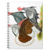 Rare Turkey Kwartet Notitieboek (Voorkant)