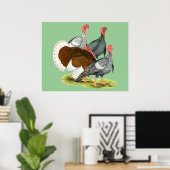 Rare Turkey Kwartet Poster (Thuiskantoor)