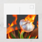 Rare Vlammende Knoflook Ansichtkaart Briefkaart (Voorkant / Achterkant)