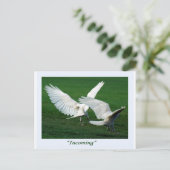 Rare White Raven Gifts Briefkaart (Staand voorkant)