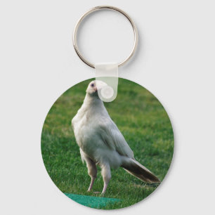 Rare White Raven Gifts Sleutelhanger